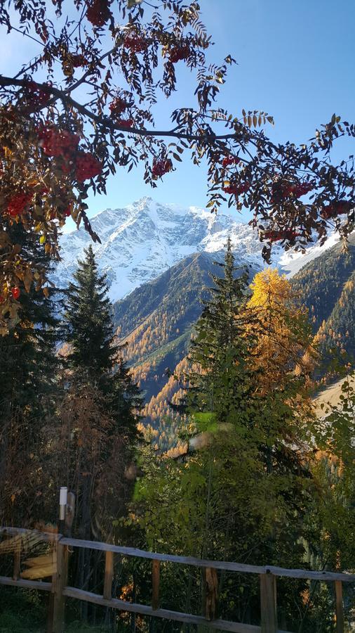 Gasthof Waldruhe ソルダ エクステリア 写真
