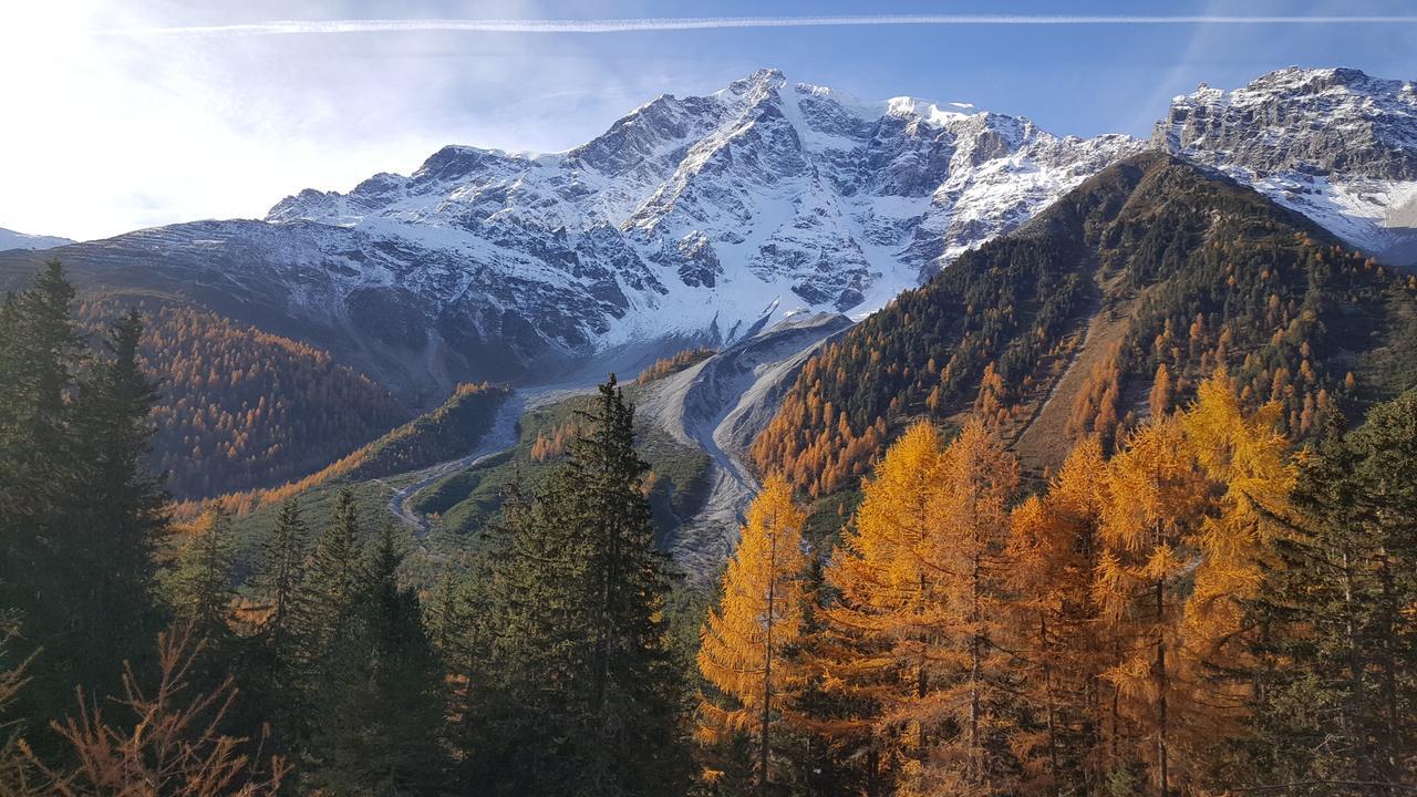 Gasthof Waldruhe ソルダ エクステリア 写真